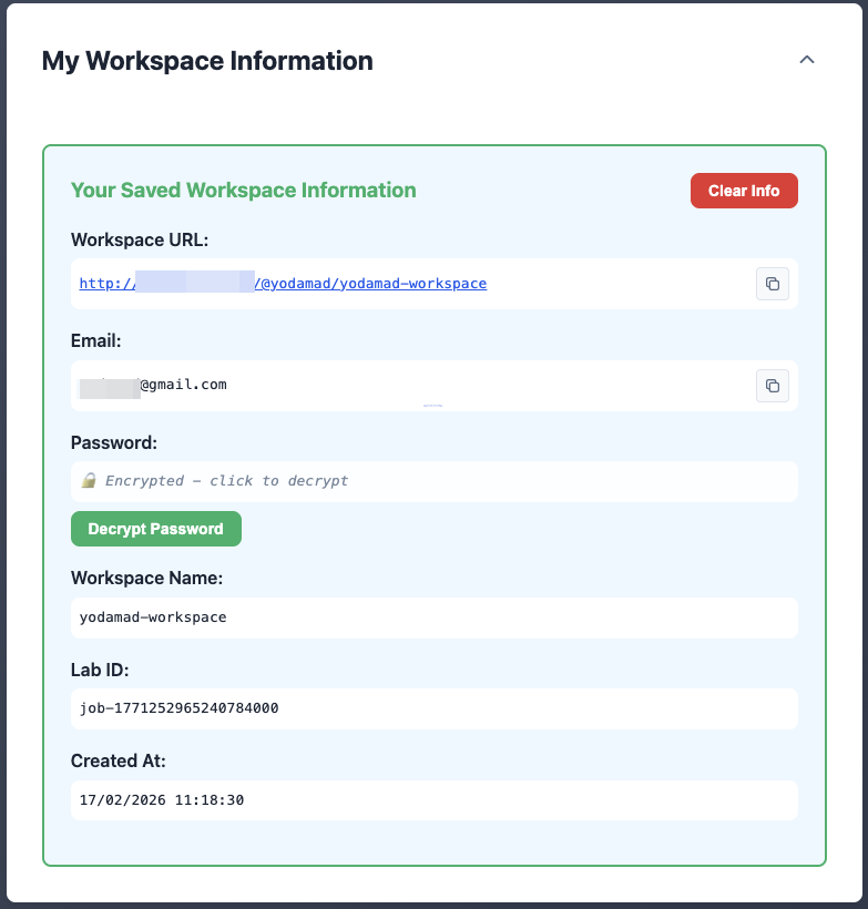 Retrieve your workspace information